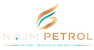 logo najmpetrol
